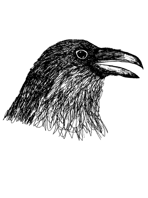 Crow Head 
